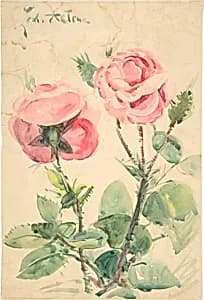 Two Roses by Zacharie Astruc