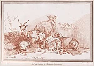 Une chèvre et quatre moutons by François Boucher|Gilles Demarteau