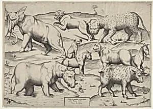 Various Animals by Anonymous, Italian, 16th century|Antonio Lafreri