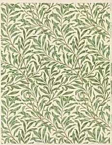 Willow Bough