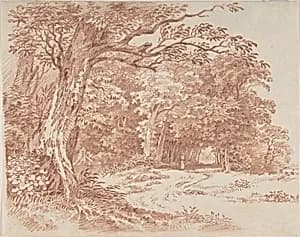 Wooded Landscape by Friedrich August Brand