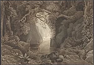 Wooded Landscape with a Creek