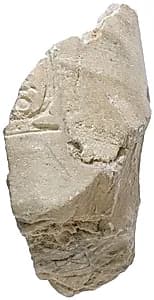 Arm, with garment, Aten cartouche by Unknown Artist