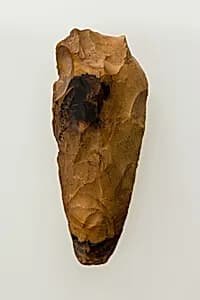 Ax by Unknown Artist