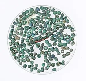 Beads by Unknown Artist