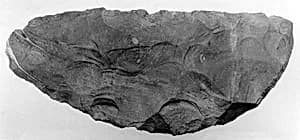 Bifacial Knife by Unknown Artist