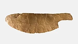 Bifacial knife with handle by Unknown Artist