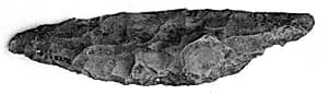 Bifacial knife with handle by Unknown Artist