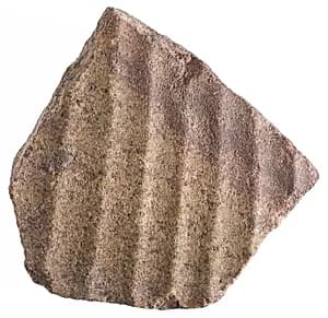 body fragment with garment pleats by Unknown Artist