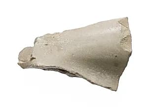 Body, miscellaneous part, Aten cartouche by Unknown Artist