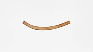 Boomerang by Unknown Artist