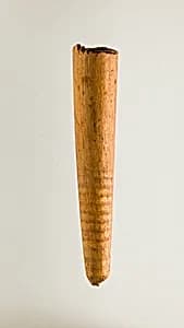 Bow tip by Unknown Artist