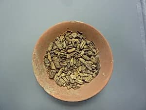Bowl of Dates by Unknown Artist