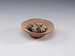 Bowl of Dates by Unknown Artist