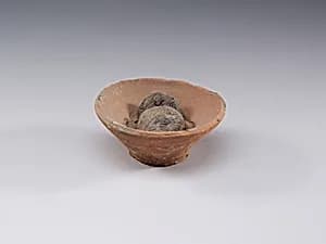 Bowl of Figs by Unknown Artist