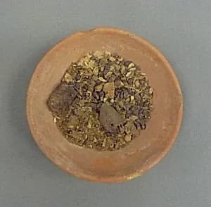 Bowl of Grapes and Figs by Unknown Artist