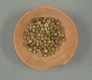 Bowl of Jujube Berries by Unknown Artist