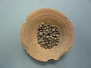 Bowl of Jujube Berries by Unknown Artist
