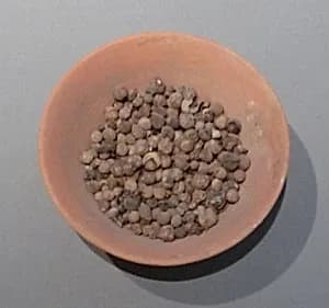 Bowl of Jujubes by Unknown Artist