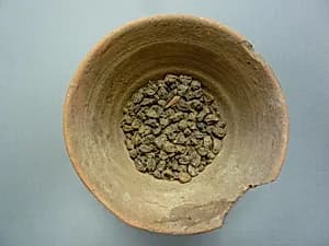 Bowl of Raisins by Unknown Artist