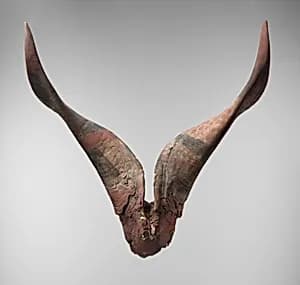 Bucranium by Unknown Artist