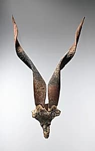 Bucranium by Unknown Artist