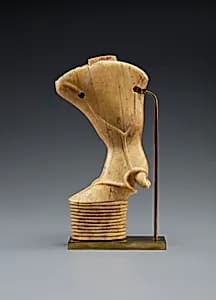 Bull's leg by Unknown Artist
