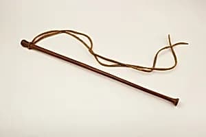 Charioteer's Whip of Itamun by Unknown Artist