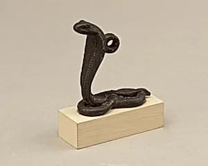 Coiled and rearing cobra by Unknown Artist