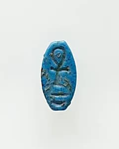 Cowroid Inscribed with an Ankh by Unknown Artist