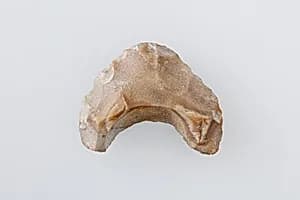 Crescent-Shaped Drill by Unknown Artist