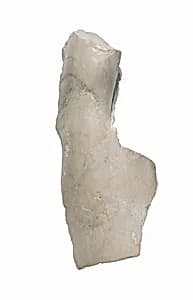 Digit fragment by Unknown Artist