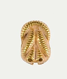 Double knot clasp of Sithathoryunet by Unknown Artist