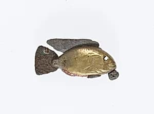 Fish Pendant by Unknown Artist