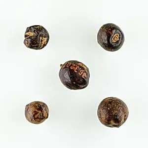 Five Berries by Unknown Artist