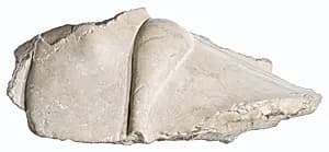 Foot fragment by Unknown Artist