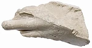 Foot fragment by Unknown Artist