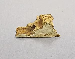 Fragment from a tomb door by Unknown Artist