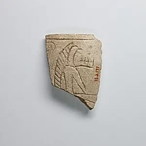 Fragment of a Feeding Cup by Unknown Artist