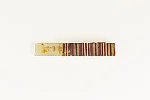 Fragment of mosaic glass inlay by Unknown Artist