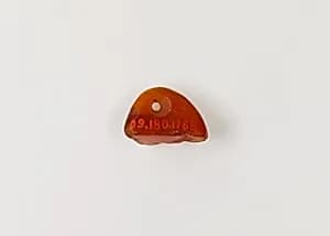 Fragment of pendant by Unknown Artist