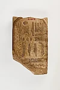 Fragment of tile by Unknown Artist