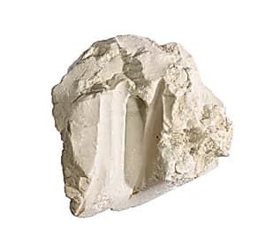 Fragment with working traces by Unknown Artist