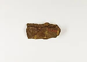 Gold Foil on Wrist by Unknown Artist