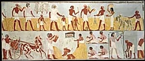 Harvest Scenes, Tomb of Menna by Charles K. Wilkinson
