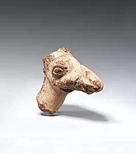 Head of a camel by Unknown Artist