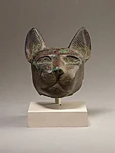 Head of a cat by Unknown Artist