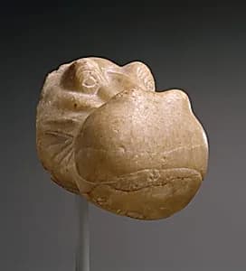 Head of a Hippopotamus by Unknown Artist