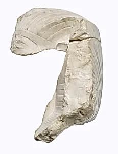 Head of Akhenaten by Unknown Artist