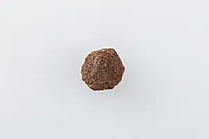Hypocephalus Biscuit of Resin by Unknown Artist
